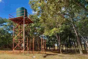 Read more about the article From Borehole to Hospital: Our Continuing Commitment to Zambia.